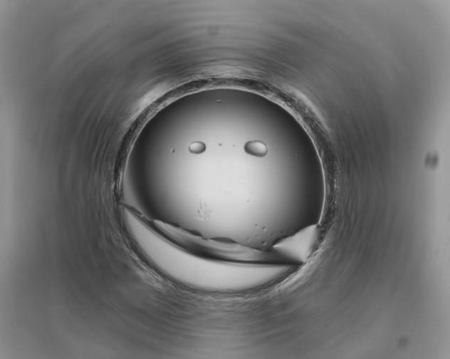 X0000096171065200802011313