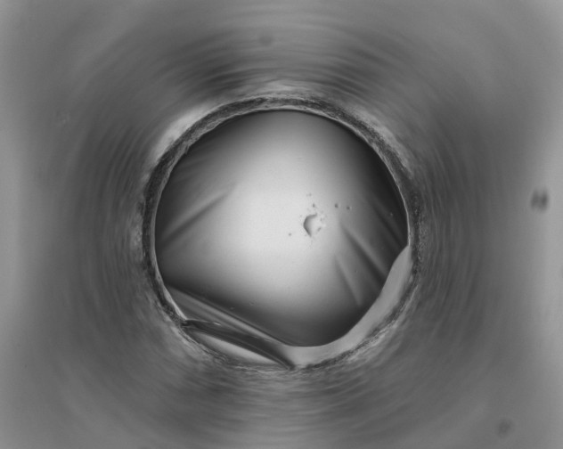 X0000096171066200802011313