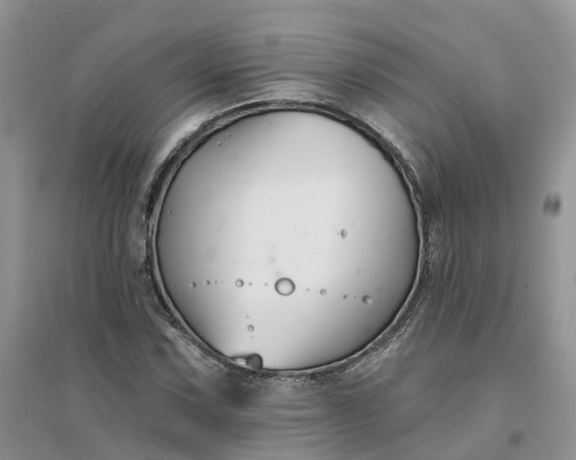 X0000096171067200802011313