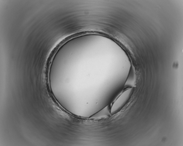 X0000096171068200802011313