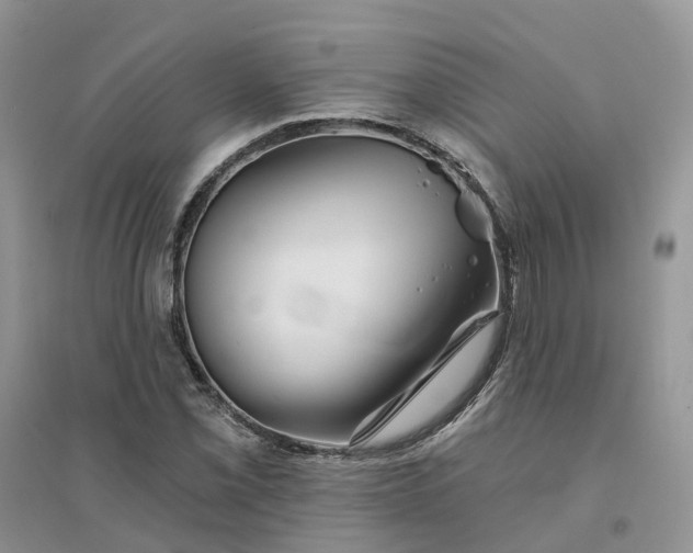 X0000096171069200802011313