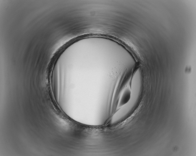 X0000096171070200802011313