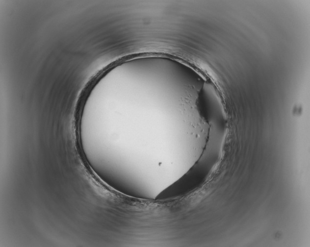 X0000096171072200802011313