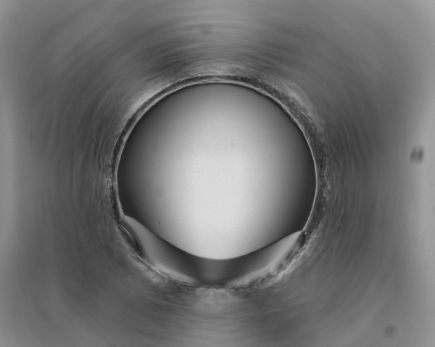 X0000096171073200802011313