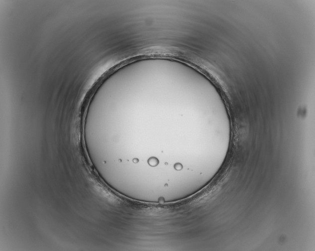 X0000096171075200802011313