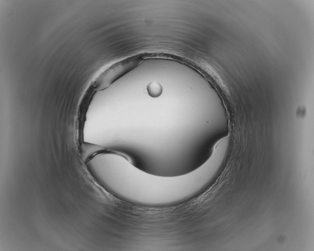 X0000096171076200802011313