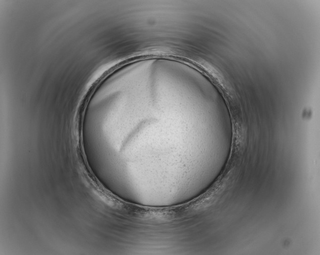 X0000096171078200802011313