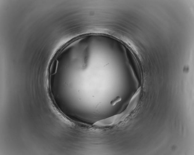 X0000096171080200802011313