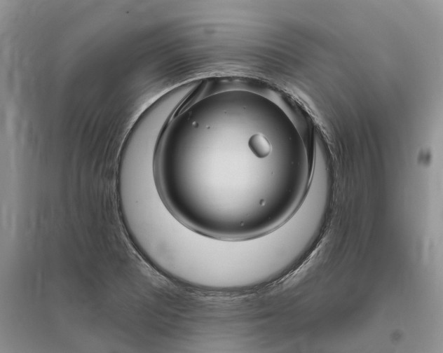 X0000096171081200802011313