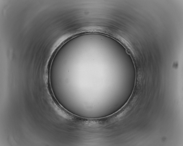 X0000096171082200802011313