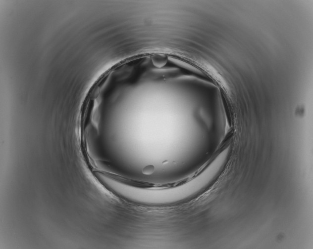 X0000096171084200802011313