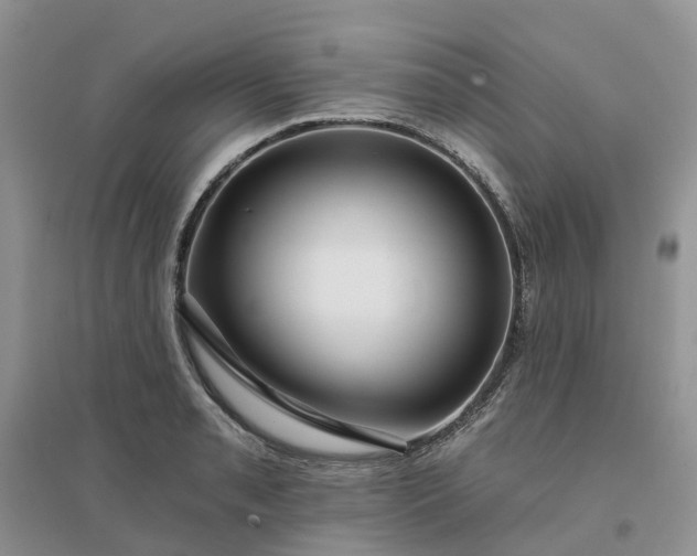 X0000096171085200802011313