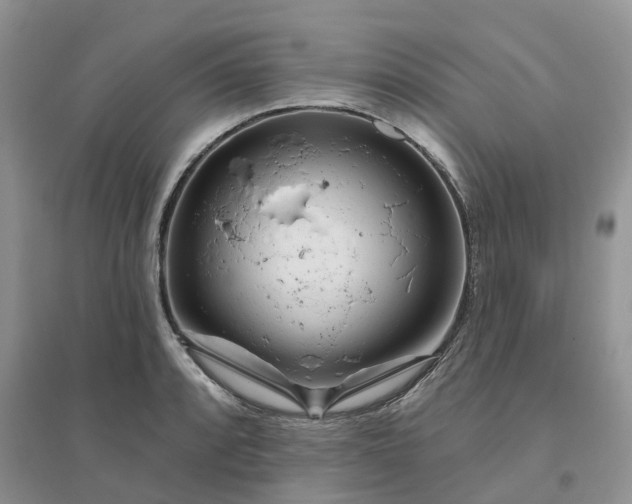 X0000096171088200802011313