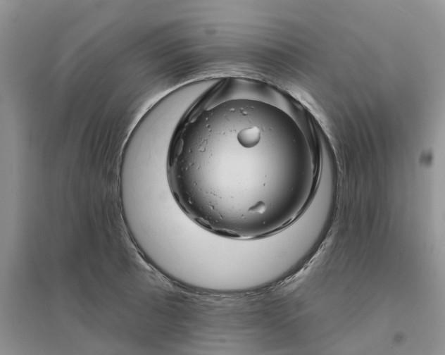 X0000096171089200802011313