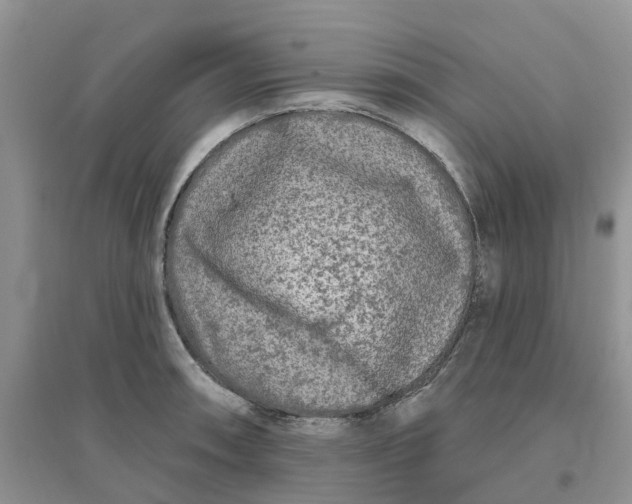 X0000096171090200802011313