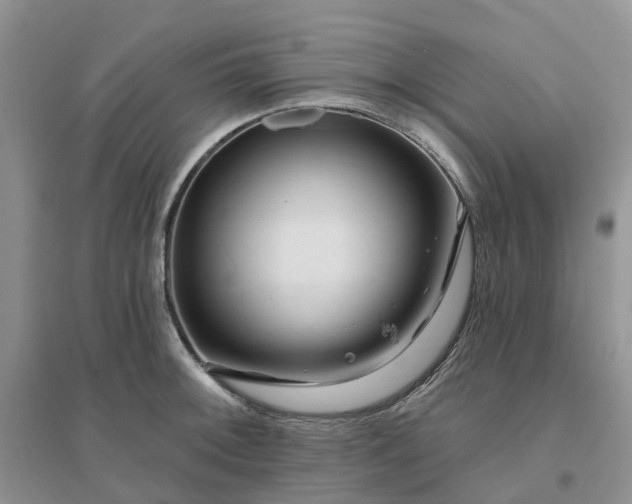 X0000096171092200802011313