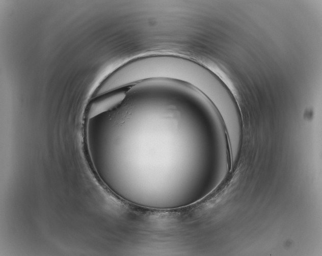 X0000096171093200802011313