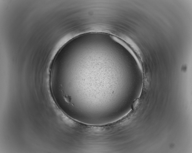 X0000096171096200802011313