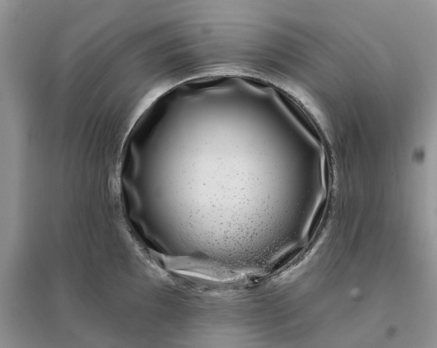 X0000096171097200802011313