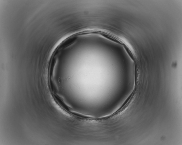 X0000096171100200802011313