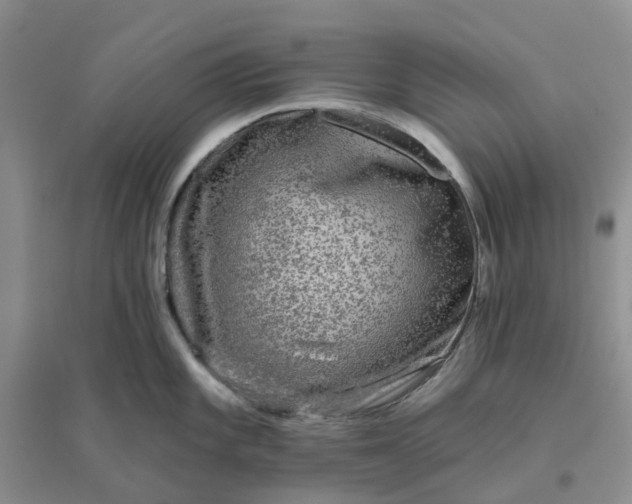 X0000096171101200802011313