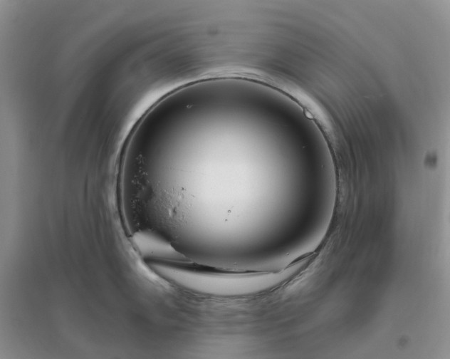 X0000096171102200802011313