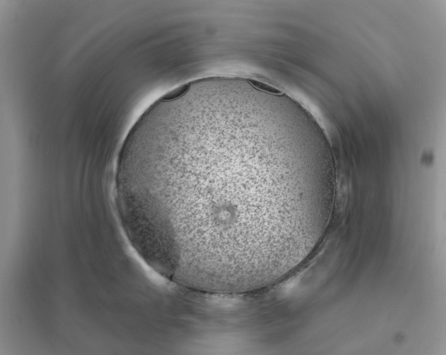 X0000096171103200802011313