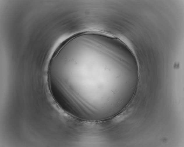 X0000096171104200802011313