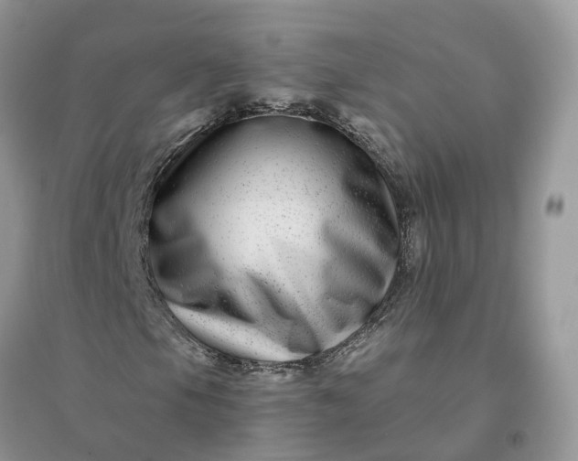 X0000096171105200802011312