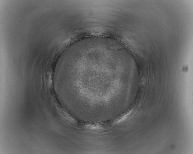 X0000096171106200802011312