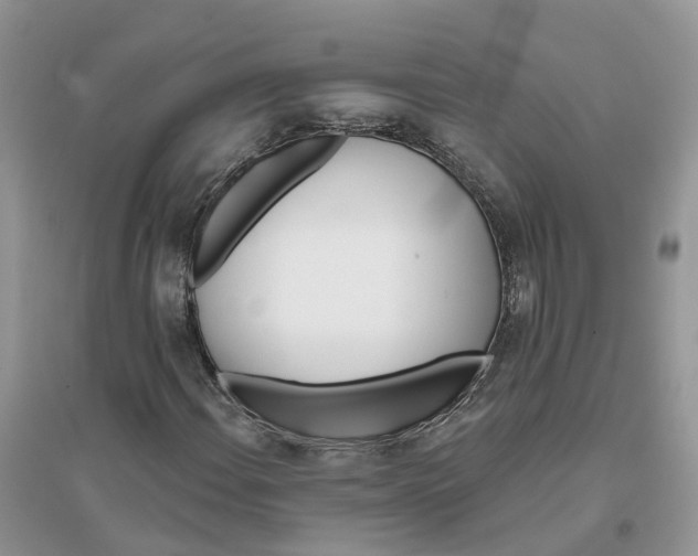 X0000096171108200802011312