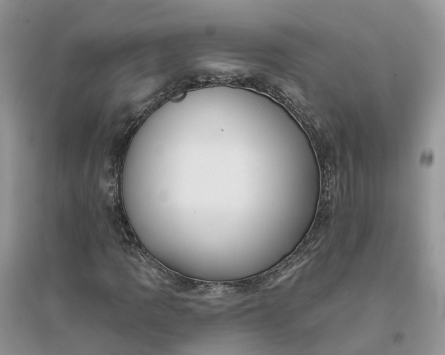 X0000096171109200802011312