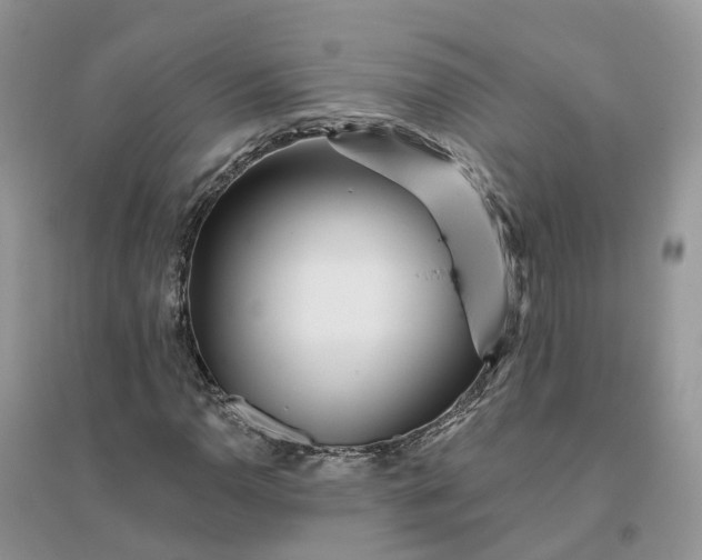 X0000096171110200802011312