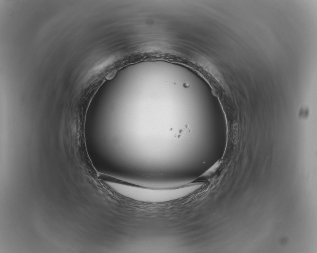 X0000096171111200802011312