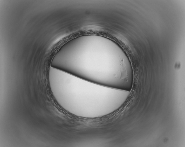 X0000096171112200802011312