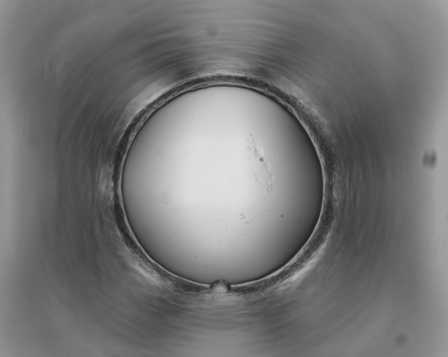 X0000096171113200802011312