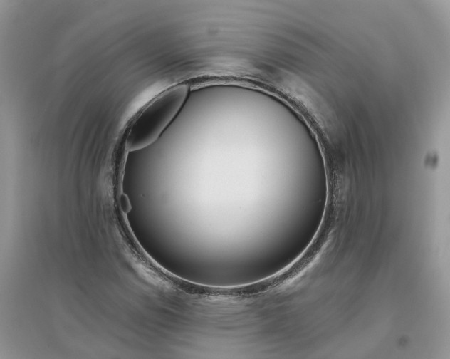 X0000096171114200802011312