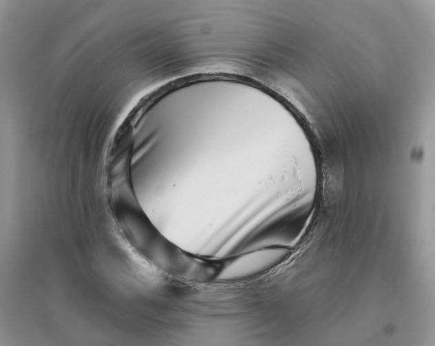 X0000096171116200802011312