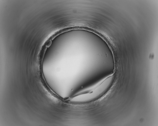 X0000096171118200802011312