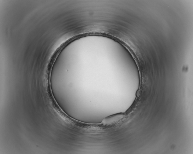 X0000096171119200802011312