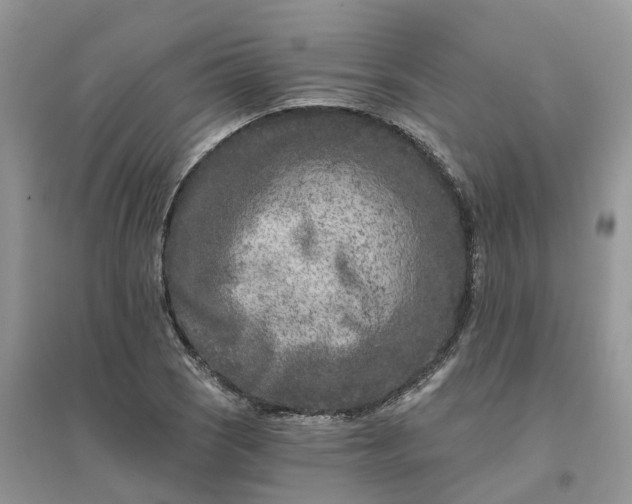 X0000096171121200802011312