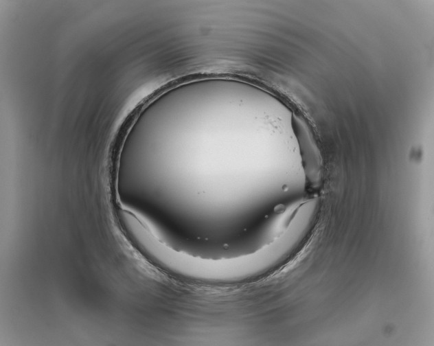 X0000096171122200802011312