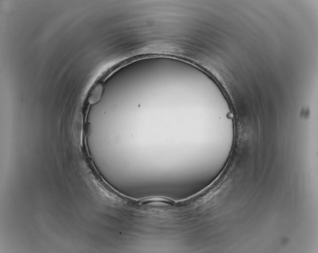 X0000096171123200802011312