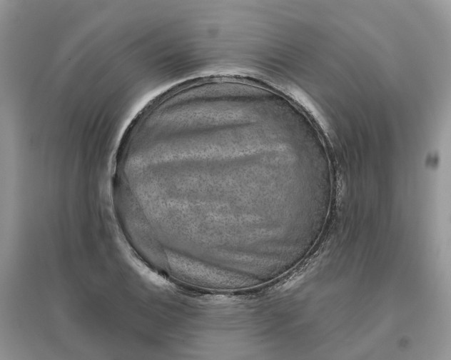 X0000096171124200802011312