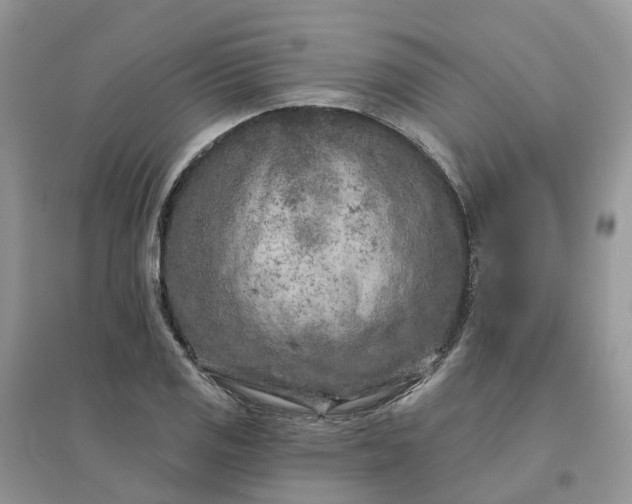 X0000096171125200802011312