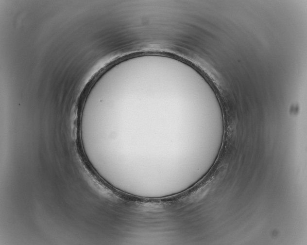 X0000096171126200802011312