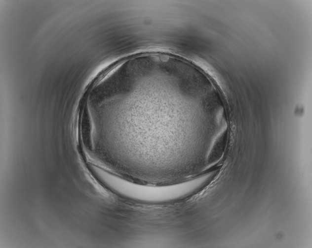 X0000096171127200802011312