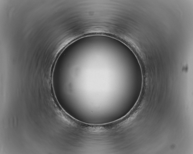 X0000096171129200802011312