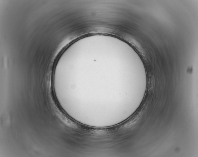 X0000096171130200802011312