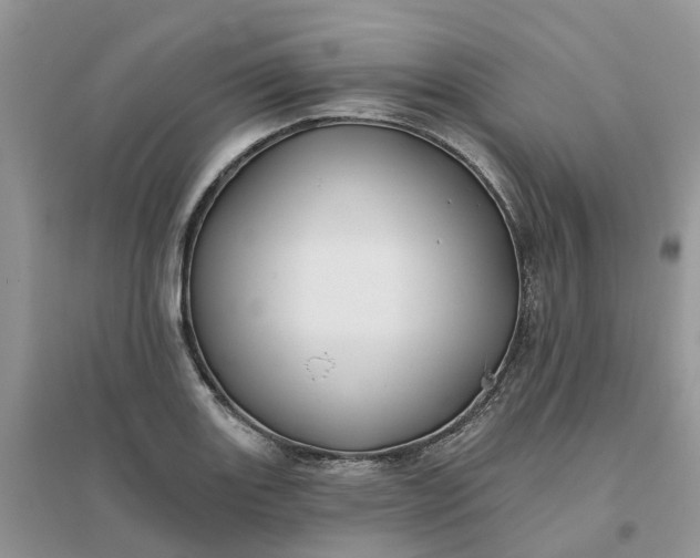 X0000096171131200802011312